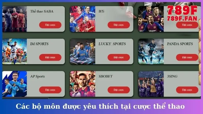 Các bộ môn được yêu thích tại cược thể thao