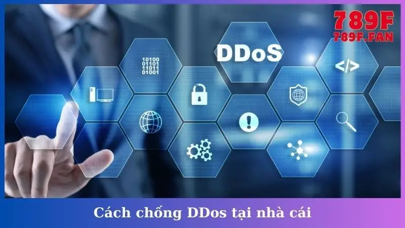 Cách chống DDos tại nhà cái